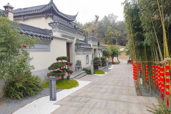 中铁双龙艺术小镇(别墅)