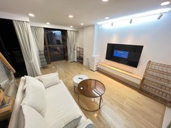 上海嘉定丰庄精装loft，14号线定边路地铁站旁，精装全配，宠物友好出租房源真实图片