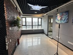 武汉黄陂盘龙城名流公寓 1室1厅1卫 电梯房 精装修55平米出租房源真实图片