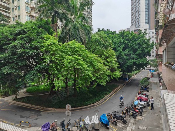 广州越秀中山路金羊花园杨箕金羊花园独立阳台房丨去中大附一丨人民