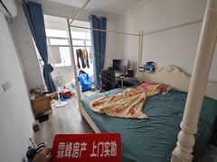 上海宝山淞南淞南十村精装修大两房 看房方便出租房源真实图片