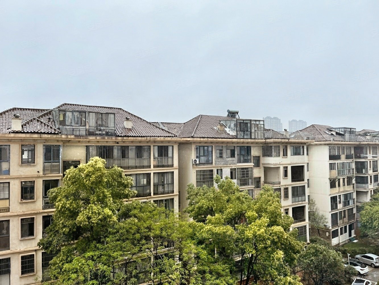 保集半岛一期 芳草 南北通透端户,保集半岛1期二手房,88万,3室2厅,1卫