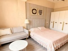 合肥瑶海瑶海万达广场同济苹果嘉园 电梯房 1室1厅1卫 20平出租房源真实图片