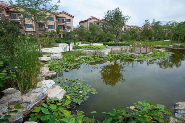 加州水郡(东区别墅),京深线-北京加州水郡(东区别墅)二手房,租房-北京