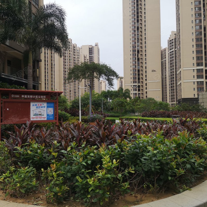 【申蓝宝邸, 申蓝宝邸小区专家解读页】- 湛江58同城