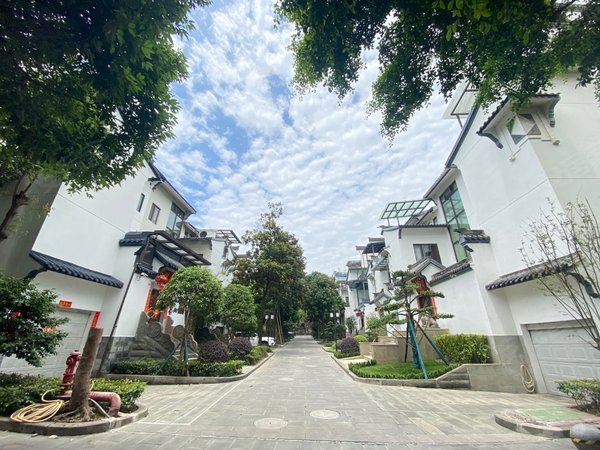 重庆渝北人和金科中华坊(别墅)渝北新牌坊 幸福广场旁金科中华房联排