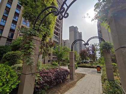 金坛碧桂园一区