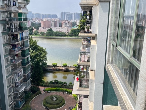 广州白云罗冲围富力半岛花园高层望江南两房!宽敞舒适!