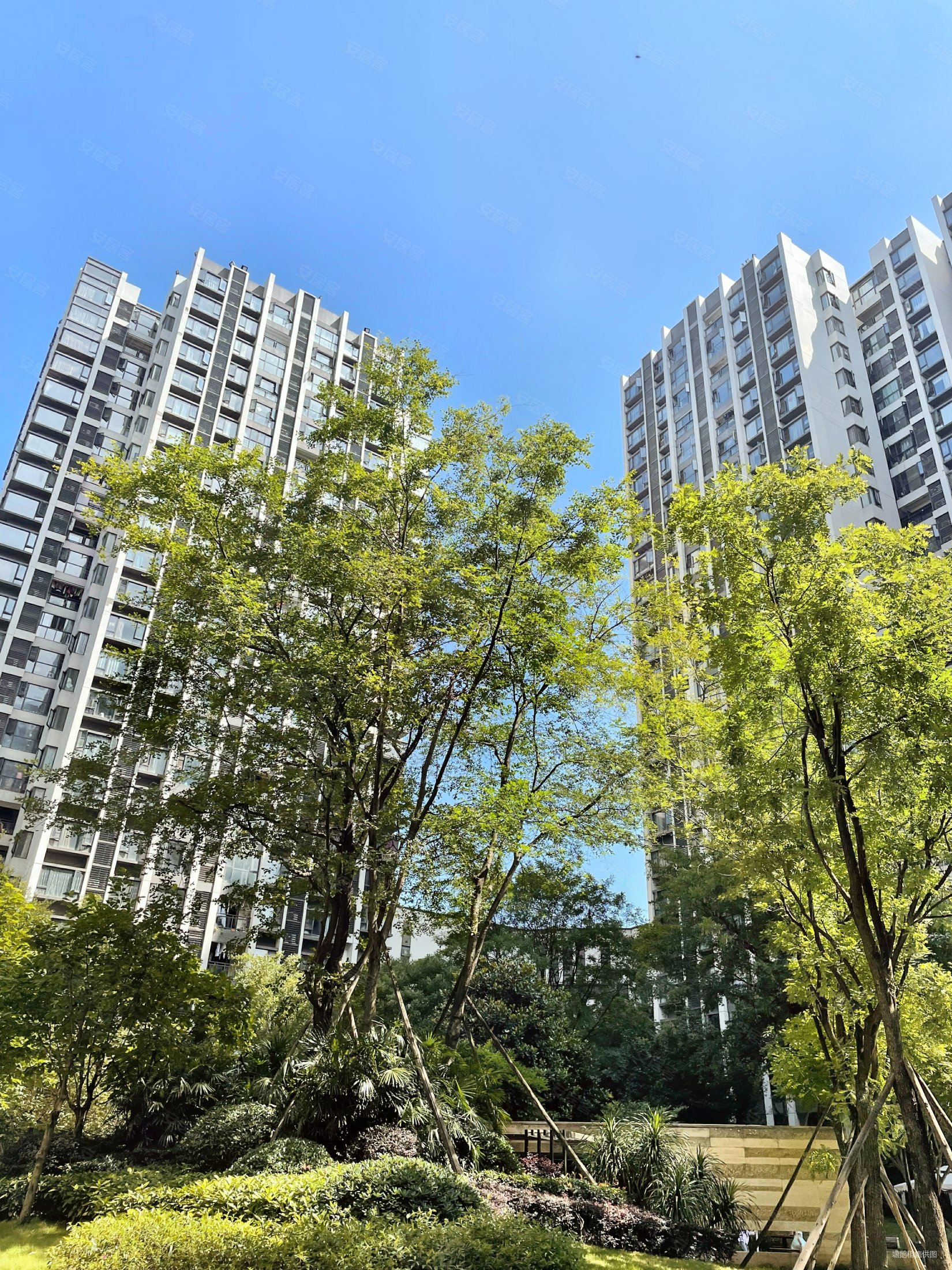 成都房产网>成都二手房>武侯二手房>五大花园二手房>金楠天街枫香庭楠