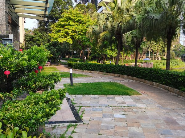 【多图】珊瑚天峰,星河湾租房,万科物业自营 天峰精装四房佶屋出租