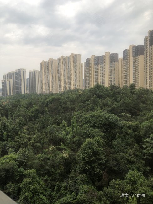 中粮鸿云4室2厅3卫170㎡南北160万