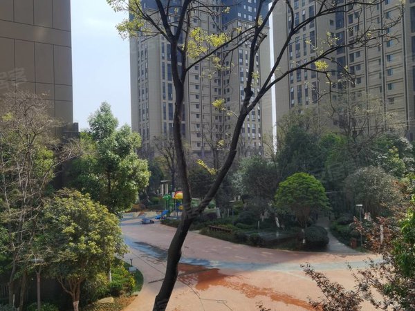 【多图】河畔俊园观涛园,区政府租房,河畔俊园精装三房两卫 带全套