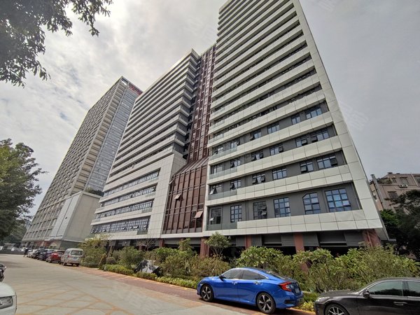 广州海珠广州塔紫星华府广州大道全新两房,市区中心珠江新城出租房源