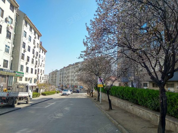 青岛黄岛香江路紫金山小区紫金山 香江利群 家佳源 佳世客 图片实拍