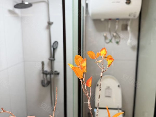 金华东阳东阳江北西范小区西范山口单间 一室一厅 两室一厅 精装多户型押一付一拎包入住出租房源真实图片