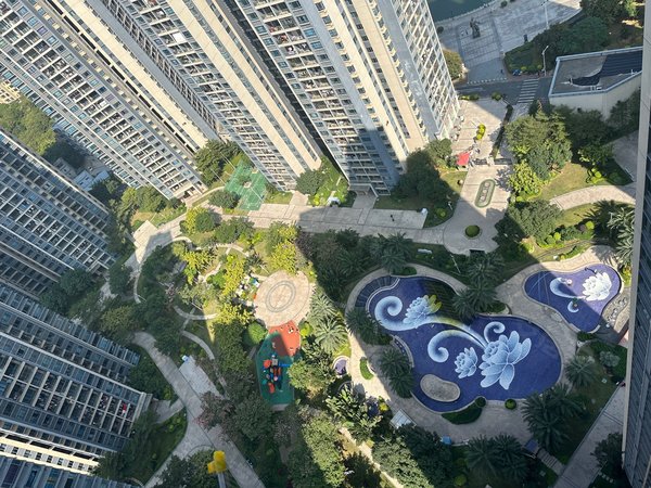 惠州大亚湾西区碧桂园龙熹山万达旁碧桂园物业 位置安静出租房源真实