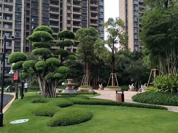 东莞凤岗雁田恒大绿洲花园平湖旁 恒大绿洲花园 3室2厅1卫 精装修