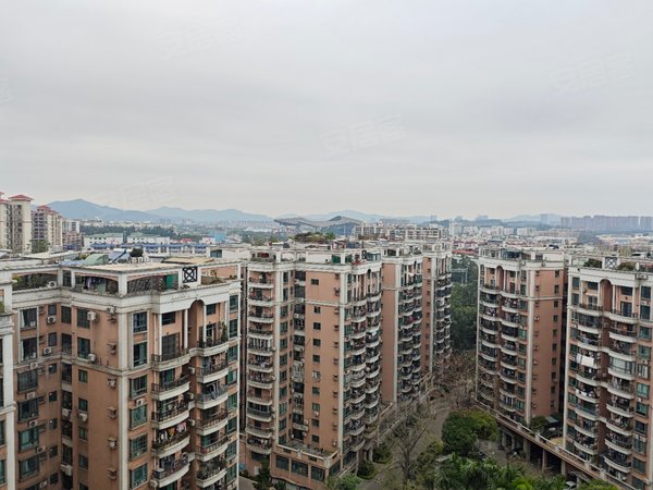 【多图】东圃广场,东圃租房,临步行街精装两房 民水电 近地铁 保真