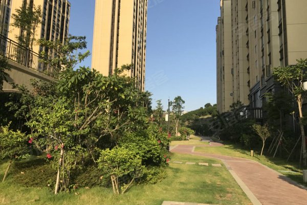 厦门小区 厦门周边小区 漳州港小区 和信水云天 和信水云天怎么样