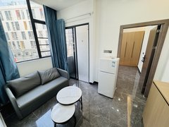 深圳罗湖田贝罗湖奢华一房急租 押一付一民水民电家私齐全拎包入住！出租房源真实图片