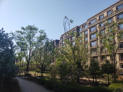 飞达紫金湾,东镇大路-松原飞达紫金湾二手房,租房-松原安居客