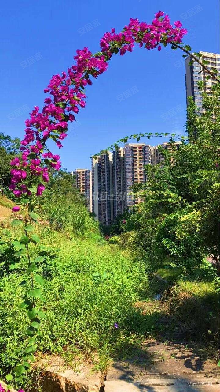 金沙洲万科四季花城两房靠近地铁