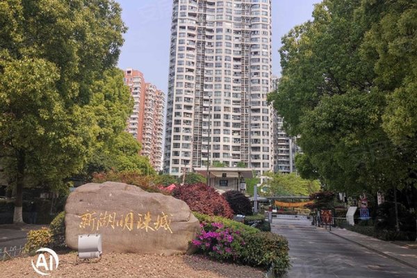 新湖明珠城一期