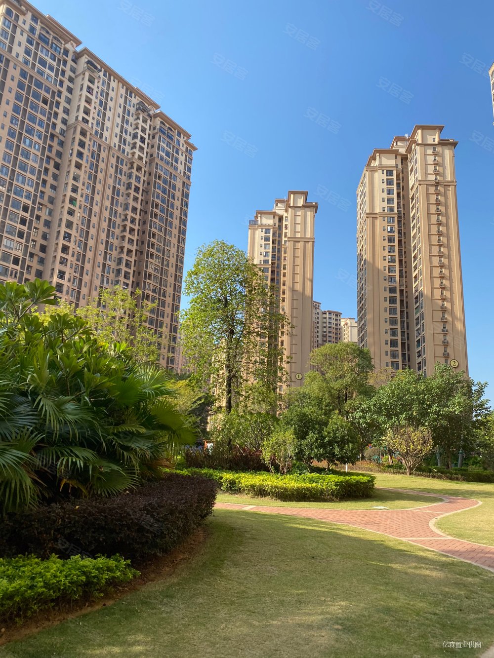 佳兆业时代可园二期精装修未入住电梯高层向花园