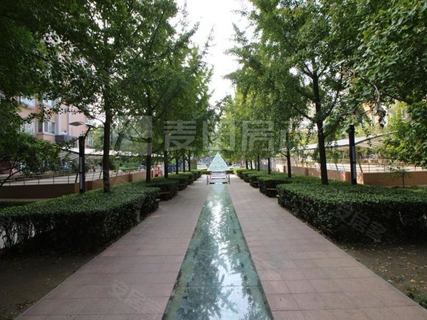 【多图】枫桦豪景,陶然亭租房,南北通透 3室2厅 枫桦豪景,西城租房