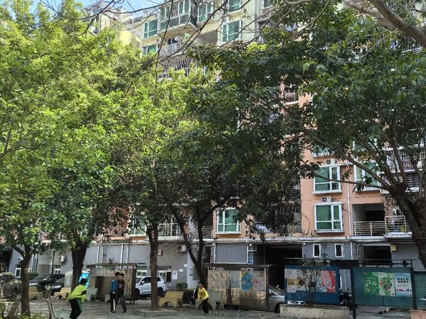 【多图】锦城星苑,龙岗中心城租房,龙岗新生 锦城星苑7房2厅3卫 办公