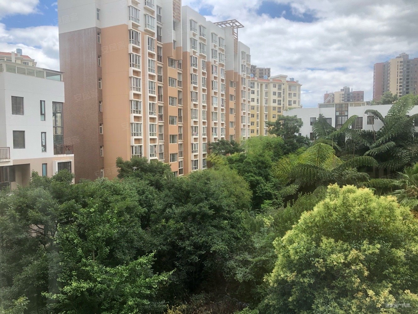 理想红树湾3室2厅2卫104㎡南北135万