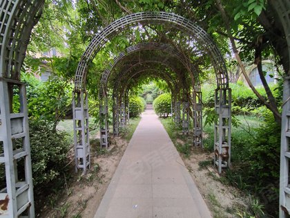 信华城一期(公寓住宅),神火大道 - 商丘信华城一期(公寓住宅)二手房