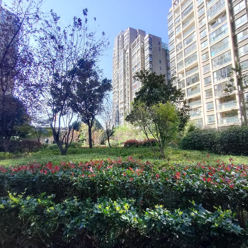 【桂花城, 桂花城小区详情,房价走势,房源,业主论坛】- 咸宁58同城