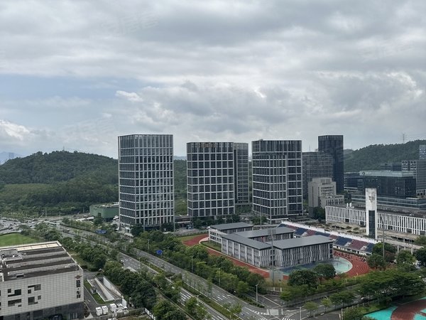 深圳龙岗大运世茂深港国际中心世茂大两房拎包入住,周边成熟,豪华装修