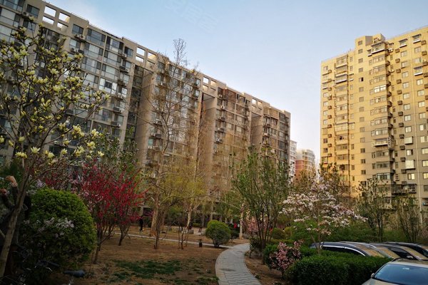 新景家园(东区),西花市大街32号 - 北京新景家园(东区)二手房,租房