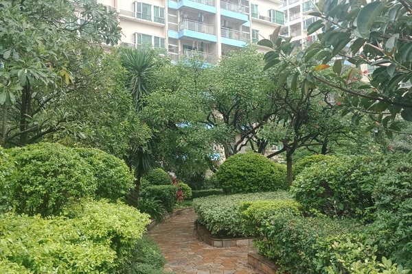 东莞小区 常平小区 横江厦小区 山水雅居 山水雅居怎么样发布于2019年