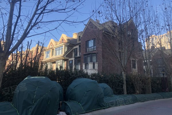 唐城壹零壹(公寓住宅),友谊路-唐山唐城壹零壹(公寓住宅)二手房,租房