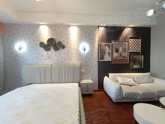 合肥瑶海曙光影院瑶海区 宝业东城 长江东大街 东七里站 春天城市广场精装一室出租房源真实图片