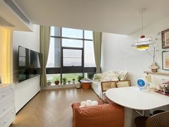 常州天宁青龙新上豪装紫荆公园附近 琅越龙洲(商住楼) 南北通透 拎包入住出租房源真实图片