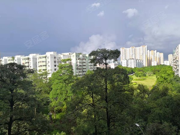 广州天河棠东棠德花苑棠德花苑 2室2厅1卫出租房源真实图片