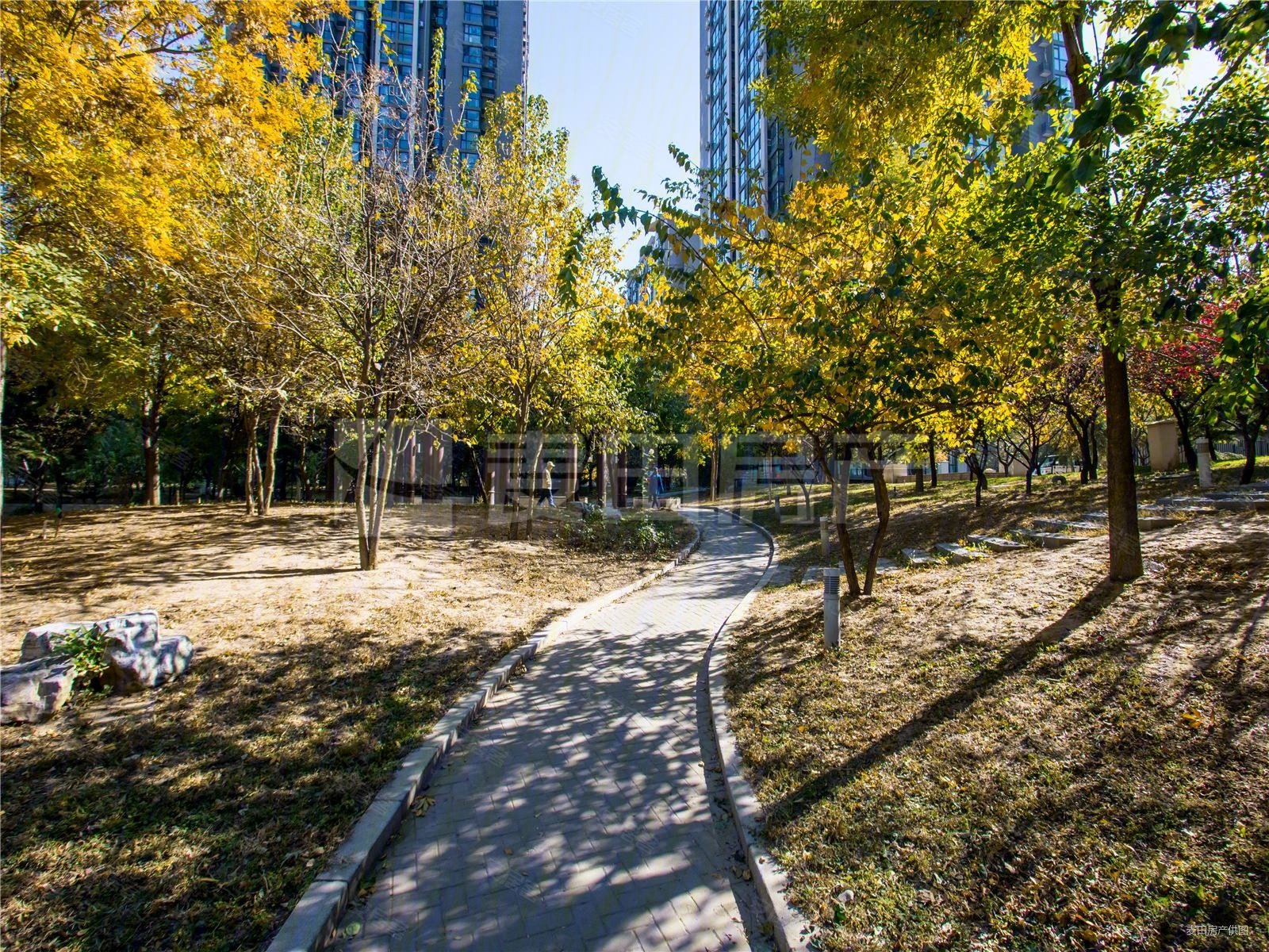 北京房产网>北京二手房>朝阳二手房>华威桥二手房>美景东方>1600_1200
