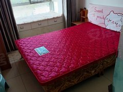 恩施恩施市后山湾航空路国贸大厦公寓单间带卫生间450元出租出租房源真实图片
