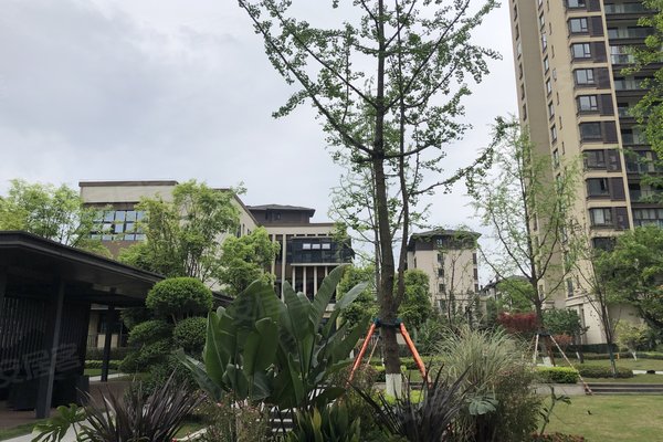 金科金辉博翠山鉴博b区