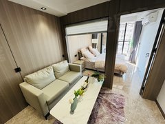 深圳罗湖翠竹翠竹奢华一房急租 押一付一民水民电家私齐全拎包入住！出租房源真实图片