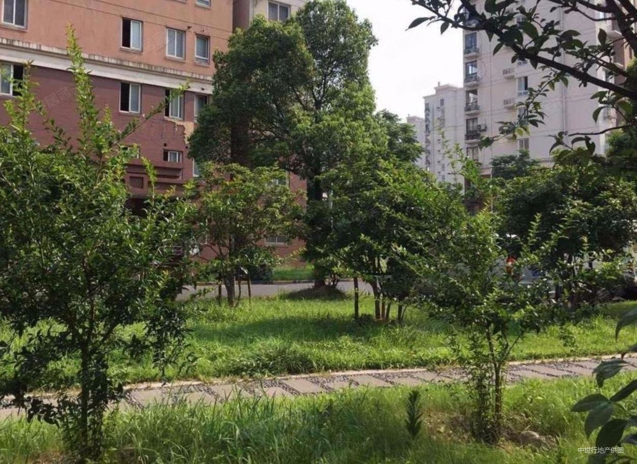 曹路对应打一 模范中学 地铁双轨9或19号线 紧邻恒越广场,中虹家园