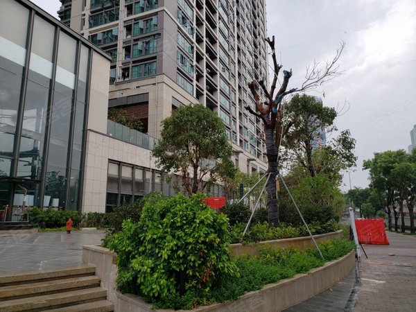 深圳福田皇岗深物业金领福田区 皇岗口岸 新小区 深物业金领 皇御苑