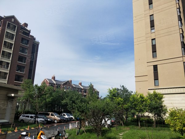 天津武清大王古庄镇凤河孔雀城低!低!