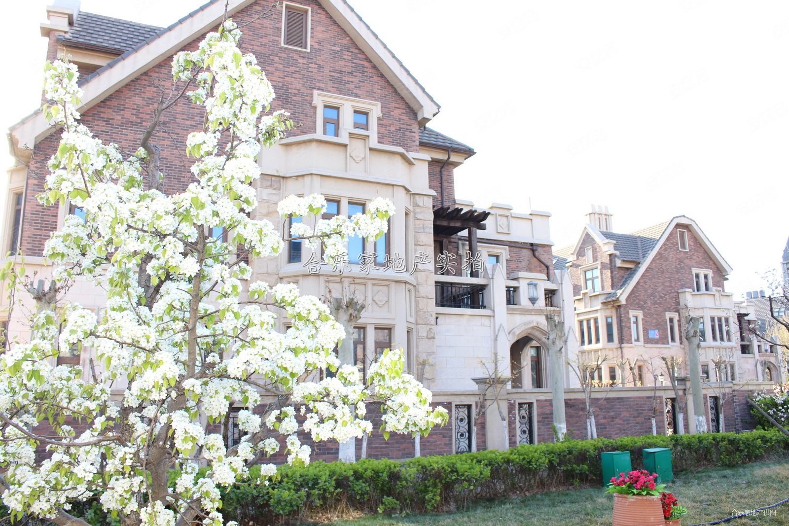 京基岭域金角200平米大院 联排别墅 带地下室和私家车库,京基岭域二手