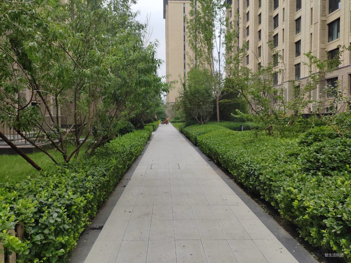 中粮祥云小镇旁公园十七区现房精装修跃