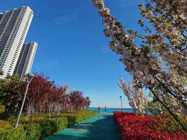 青岛黄岛薛家岛融创维多利亚湾(北区)套三精装自住标准 家具家电齐全